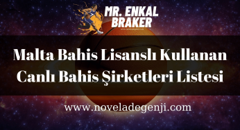 Malta Bahis Lisanslı Kullanan Canlı Bahis Şirketleri Listesi